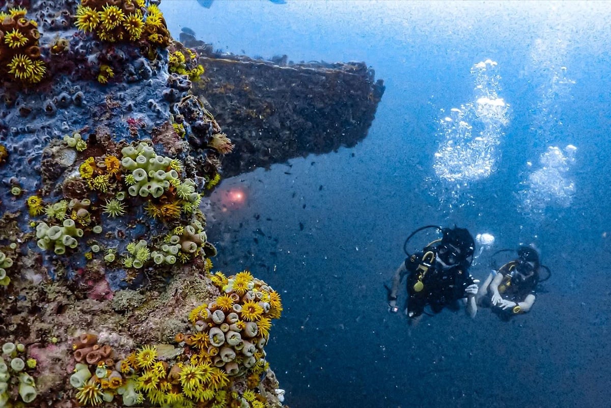 Two scuba divers exploring the coral-covered King Cruiser Wreck near Phuket