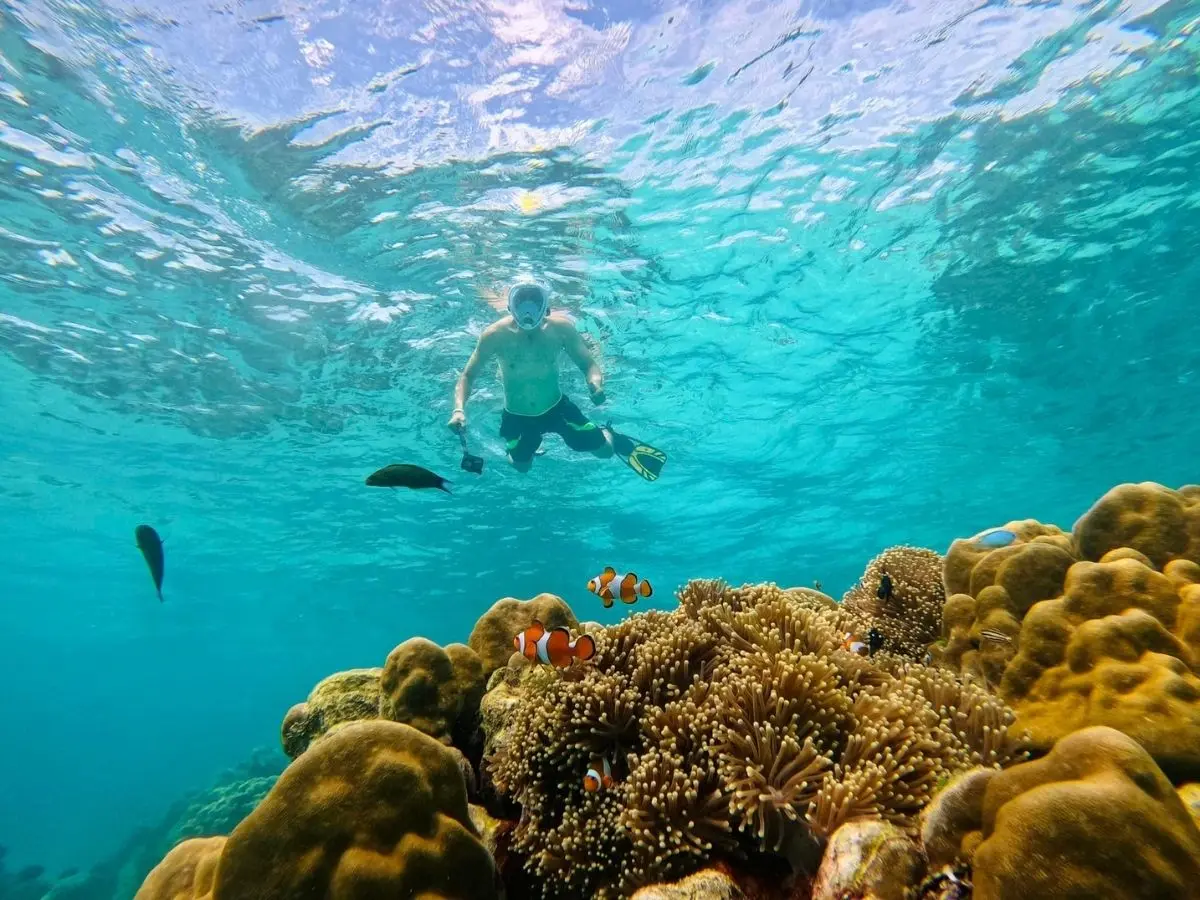 Thailand Divers Phuket Scuba Diving Snorkeling Tours