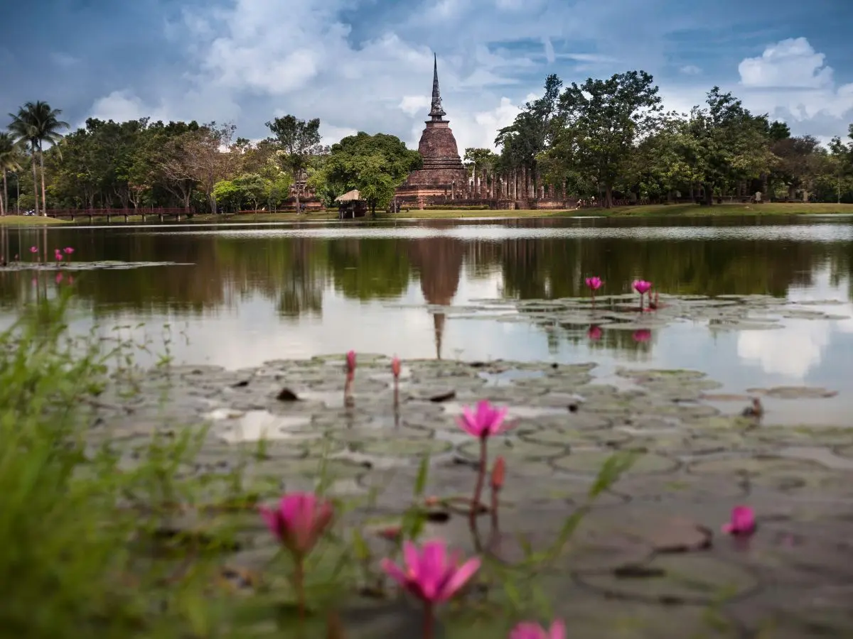 Pink water lilies on a lake with a historic Thai temple in the background
