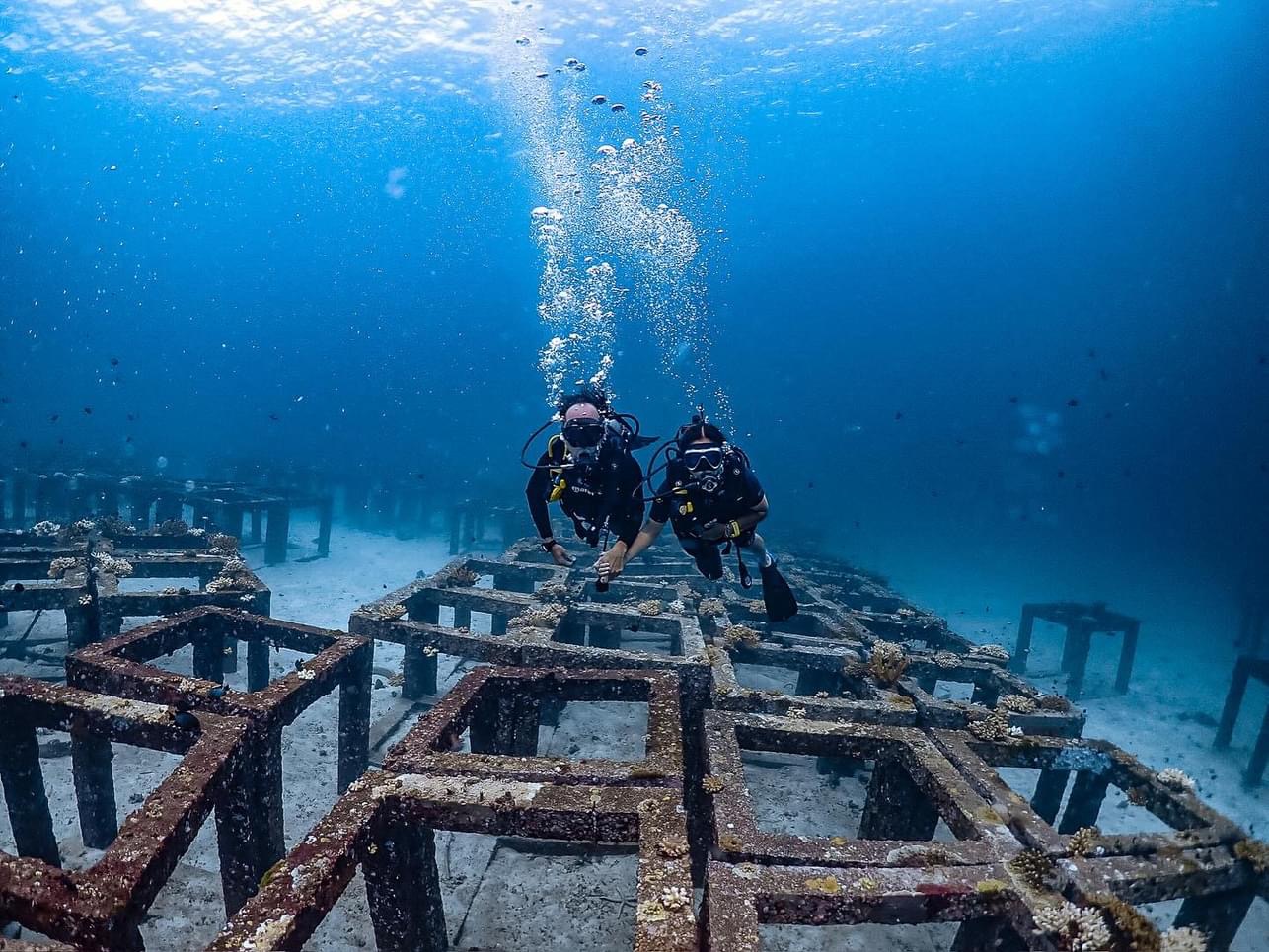 Two scuba divers swimming above a grid of underwater artificial reef structures