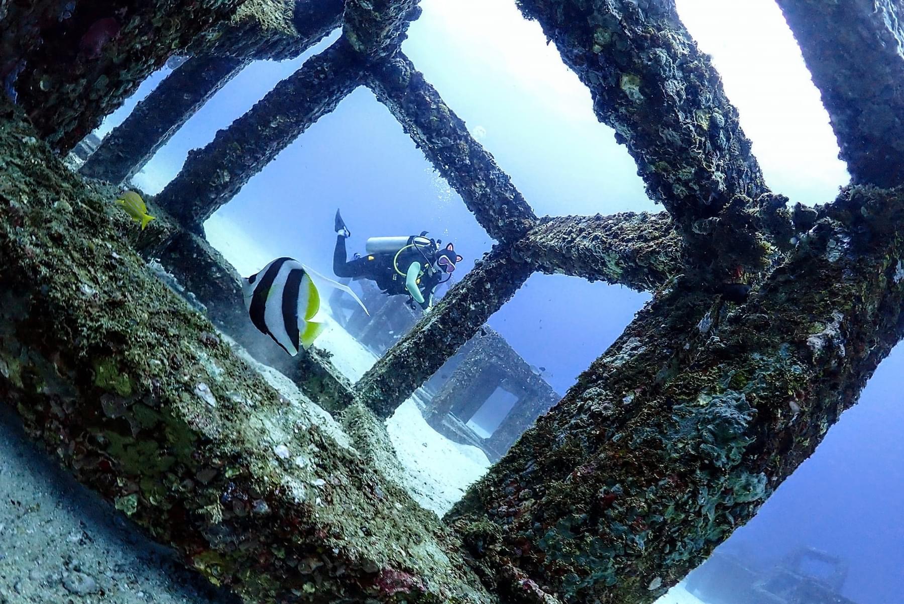 Scuba diver framed by a coral-covered underwater structure